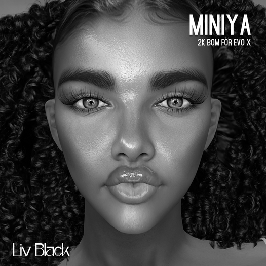 Miniya Skin - EvoX Head -  ALL DEMOS