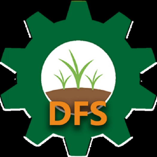 DFS Blue Agave Barrel Planter