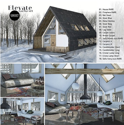 Concept} *01. Elevate. House. RARE