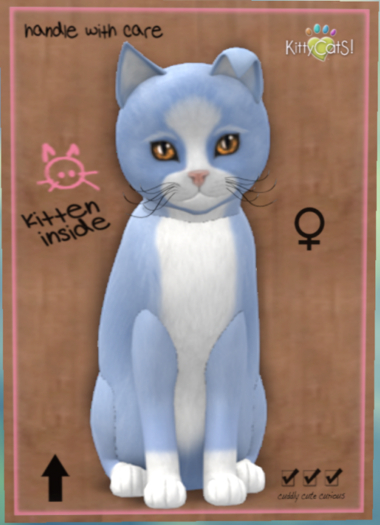 KittyCatS Box - Chateau Cat - Powder Puff No. 1 - Toy