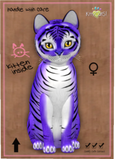KittyCatS Box - Tiger! - Lavender
