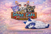 ♂Stray Cats Kitten - Faboo Yeti - Cosmos Canary(M)