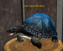 Male Breedable Turtle Fotxrot Beautiful Elemental Blue Pixie