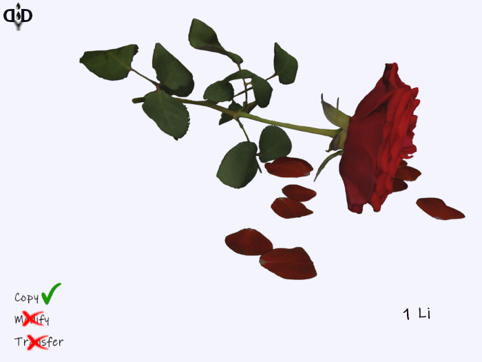 Garden:. Broken Heart