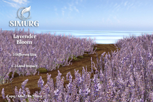Simurg - Lavender Bloom
