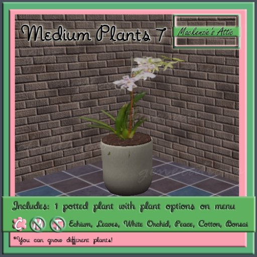 [M.A.] Misc Medium Potted Plants 7 (Boxed-Copy)