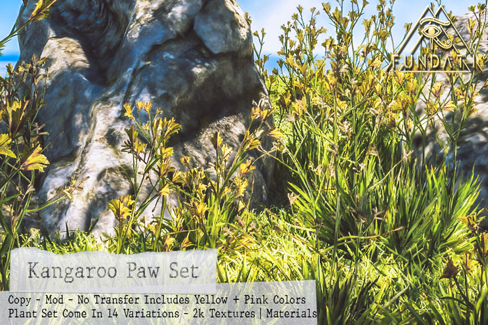 ( Fundati ) Kangaroo Paw Set