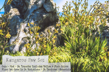 ( Fundati ) Kangaroo Paw Set