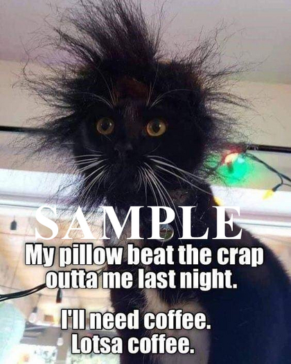 TM Cat Needs Coffee