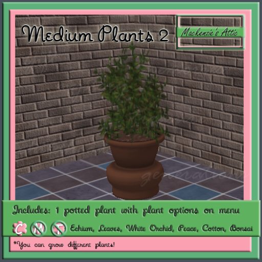 [M.A.] Misc. Medium Potted Plants 2 (Boxed-Copy)