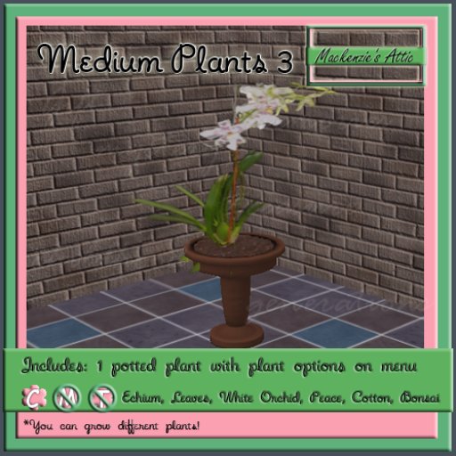 [M.A.] Misc. Medium Potted Plants 3 (Boxed-Copy)