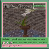 [M.A.] Misc. Medium Potted Plants 3 (Boxed-Copy)