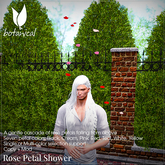 Rose Petal Shower