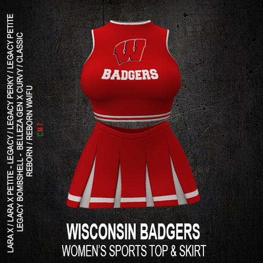 WISCONSIN BADGERS - Women's Sports Top & Skirt