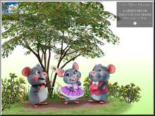 Garden Promo