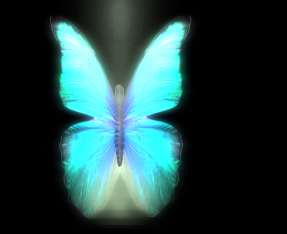 {Papillon} Fe/Mon/Shi/Fey/Butterfly/RainbowM Cocoon