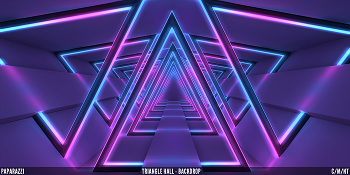 Paparazzi - BACKDROP - Triangle Hall 1