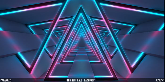 Paparazzi - BACKDROP - Triangle Hall 2