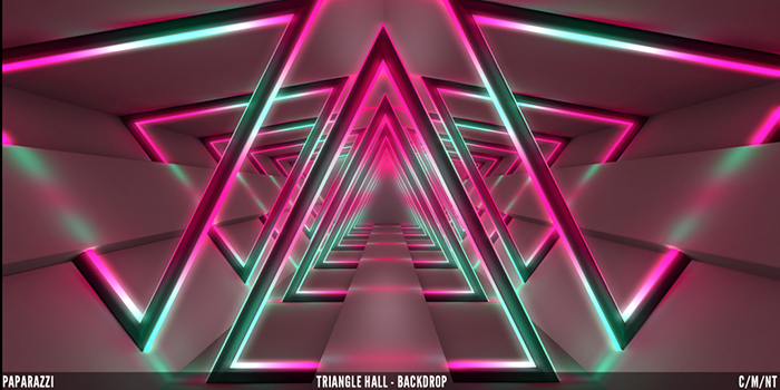 Paparazzi - BACKDROP - Triangle Hall 3