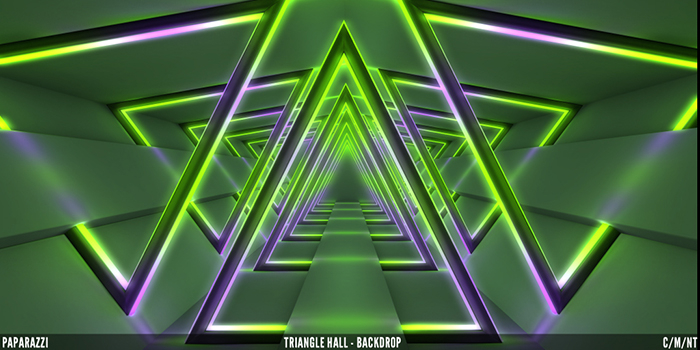 Paparazzi - BACKDROP - Triangle Hall 4