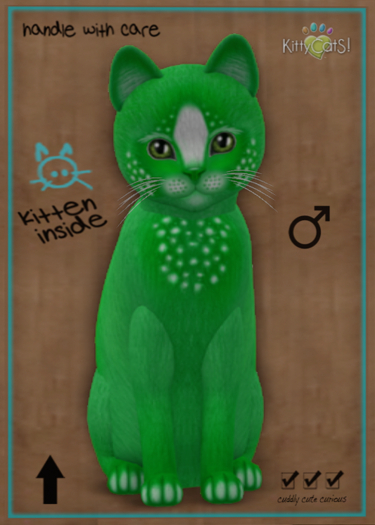 KittyCatS Box - Confetti - AppleBerry - ♂ Male
