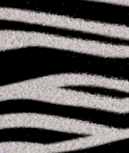 Xootfly Creations Zebra Fur Rug