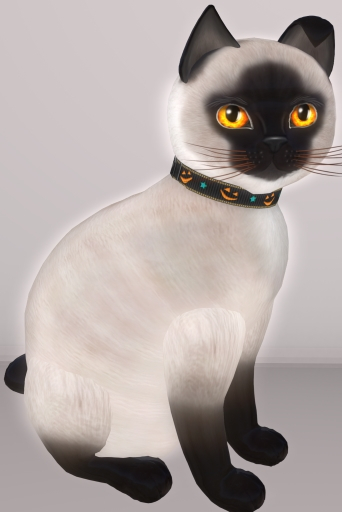 KittyCats - Dim Dim