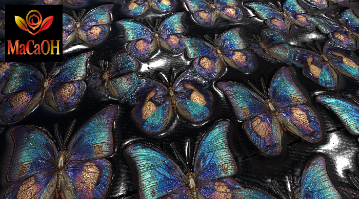 PBR Texture with 3D effect, Seamless, Butterflies_02