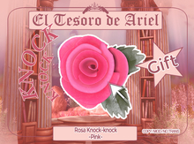 -ElTesorodeAriel- Rosa Knock-Knock Pink