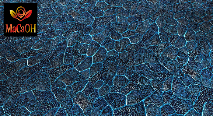 PBR Texture with 3D effect, Seamless, Organic_25