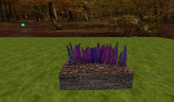 boxed flower s