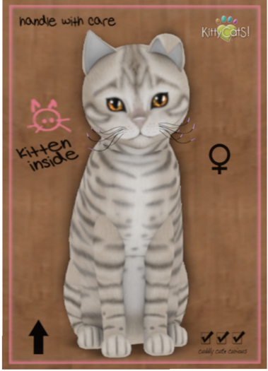 KittyCatS Box - Toyger - Snow