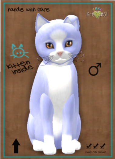 KittyCatS Box - Chateau Cat - Huckle Puff No. 1