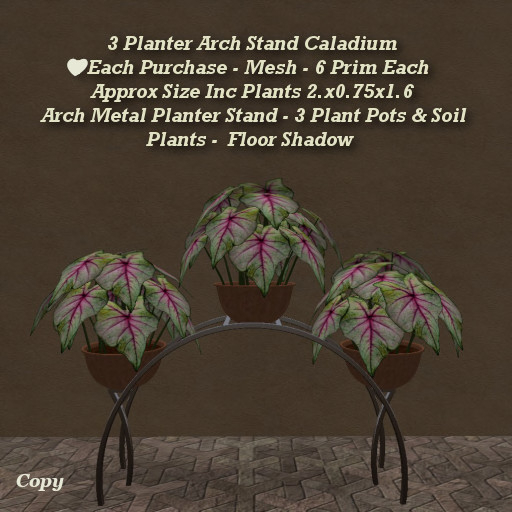 3 Planter Arch Stand Caladium1
