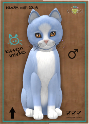 KittyCatS Box - Chateau Cat - Powder Puff No. 1