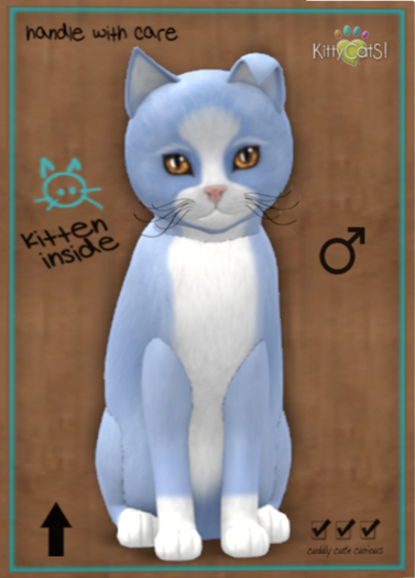 KittyCatS Box - Chateau Cat - Powder Puff No. 1