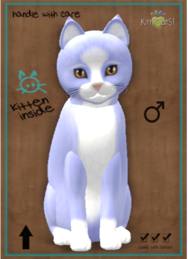 KittyCatS Box - Chateau Cat - Huckle Puff No. 1