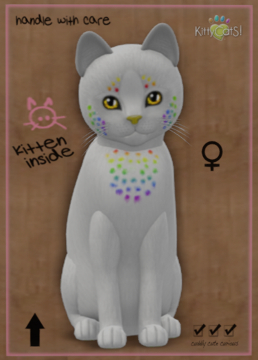 KittyCatS Box - Confetti - CocoBerry - Genesis Sunflower - ♀ Female