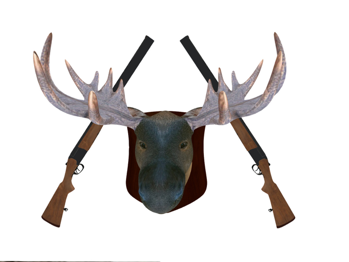 Moose head Trophy