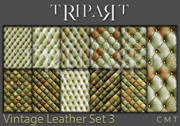 ..::TRIPART::.. Vintage Leather Set 3