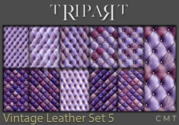 ..::TRIPART::.. Vintage Leather Set 5