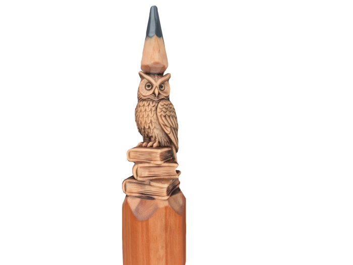 Wisdom Owl FULL PERM