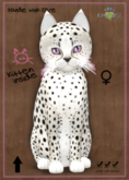 KittyCatS Box - Cheetah! - Maltese Black Chinchilla - RockOpera - Blush Tipped White - ♀ Female - Total Trait: 9T