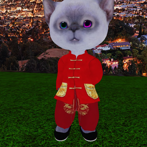 150 KUNG-FU CAT CLOTHES 01