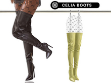Addams // Celia Boots // N*16