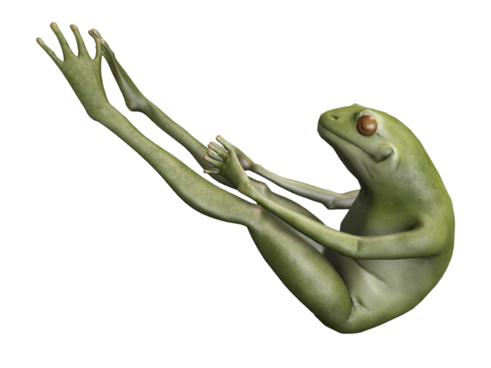 Yoga Frog 7 ~ Boat