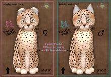 KTS Breedable - BUNDLE SALES 2x KittyCatS Male & Female!