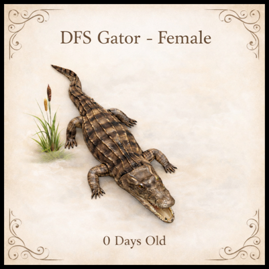 DFS Gator - Female - ACTUAL ITEM