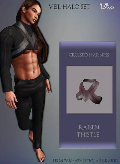 .:Bliss:. Crossed Harness Raisin