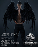 HandObj Angel Wings (unpack)